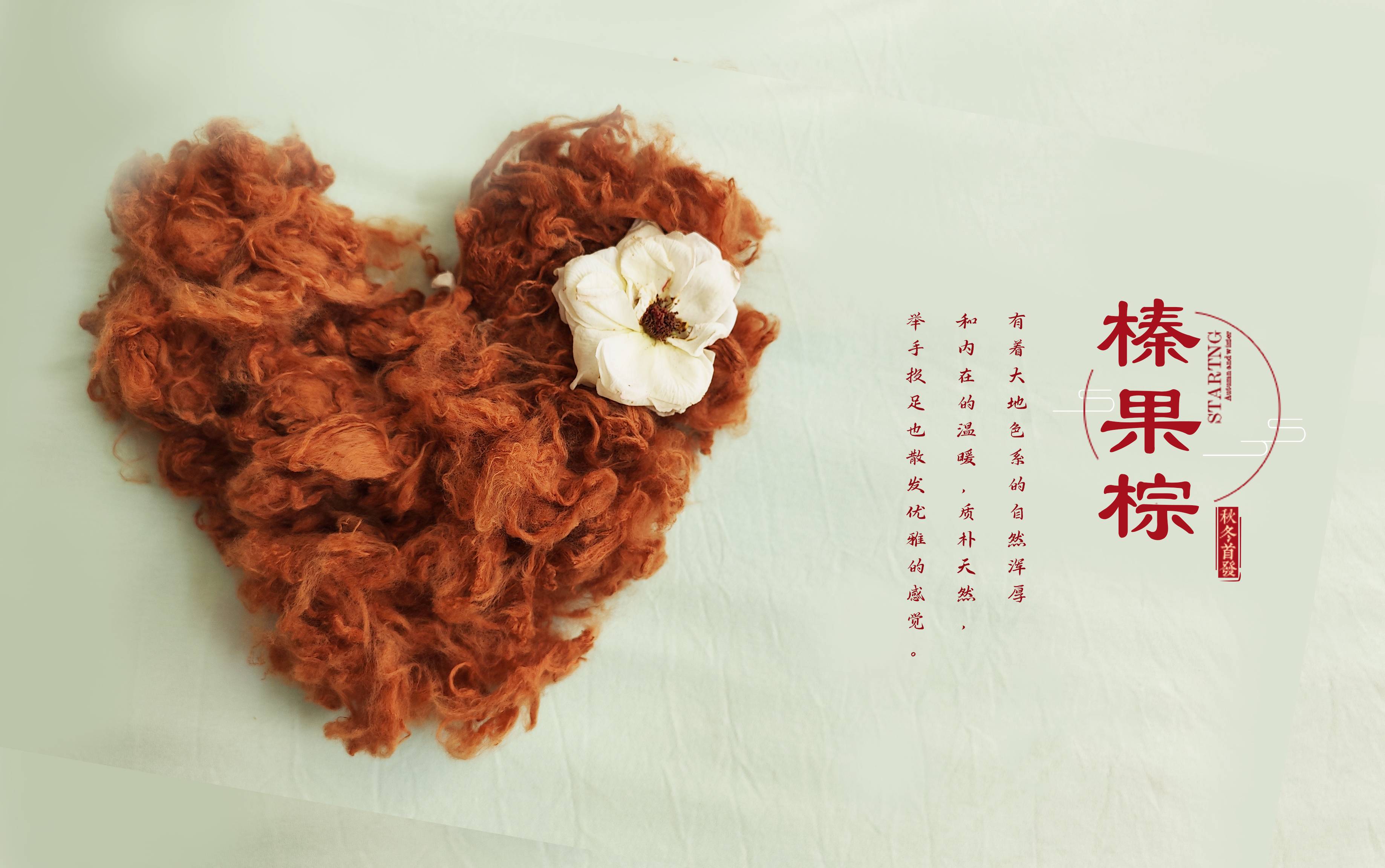 DS视讯·(中国)官方网站
