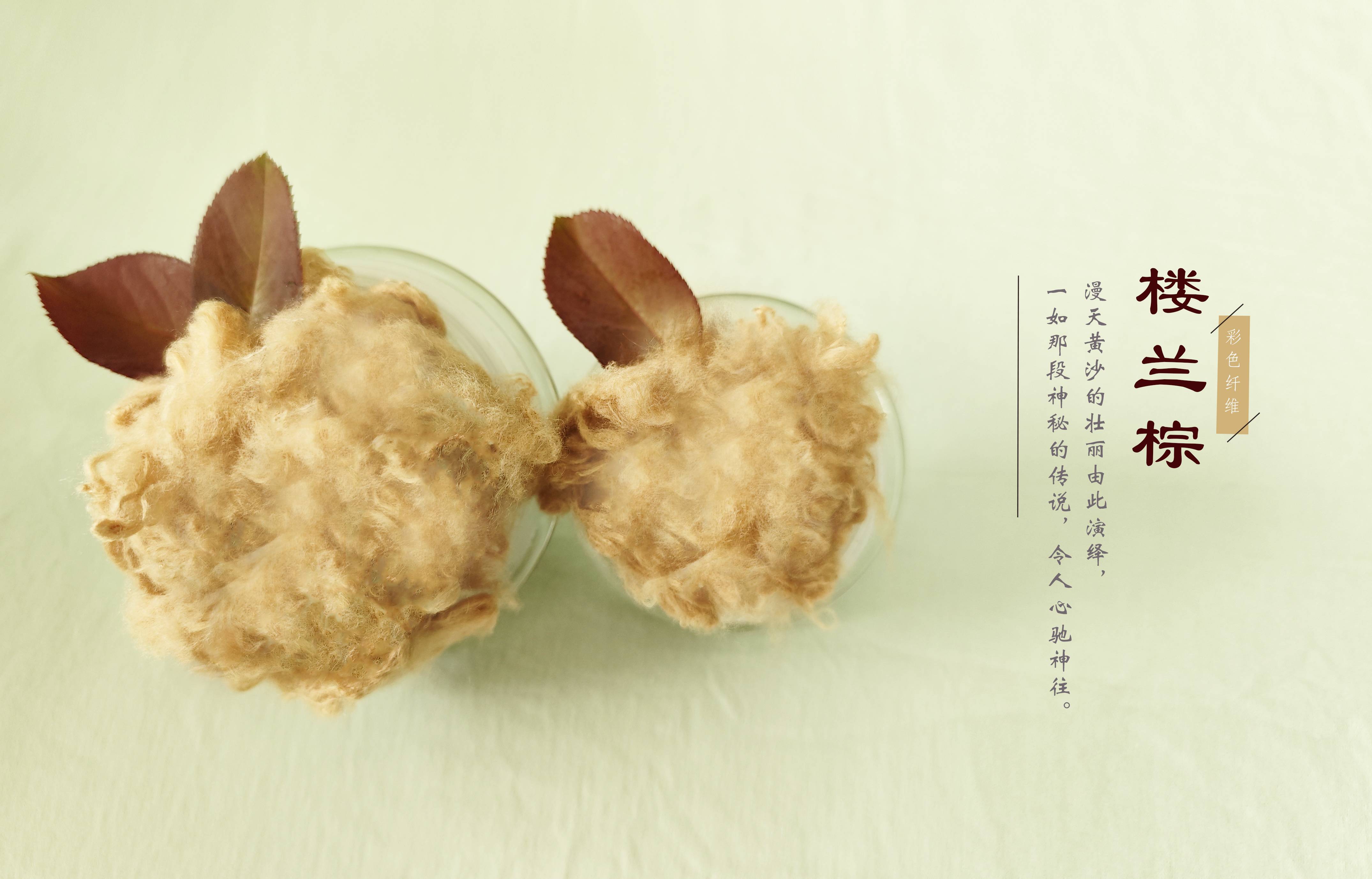 DS视讯·(中国)官方网站