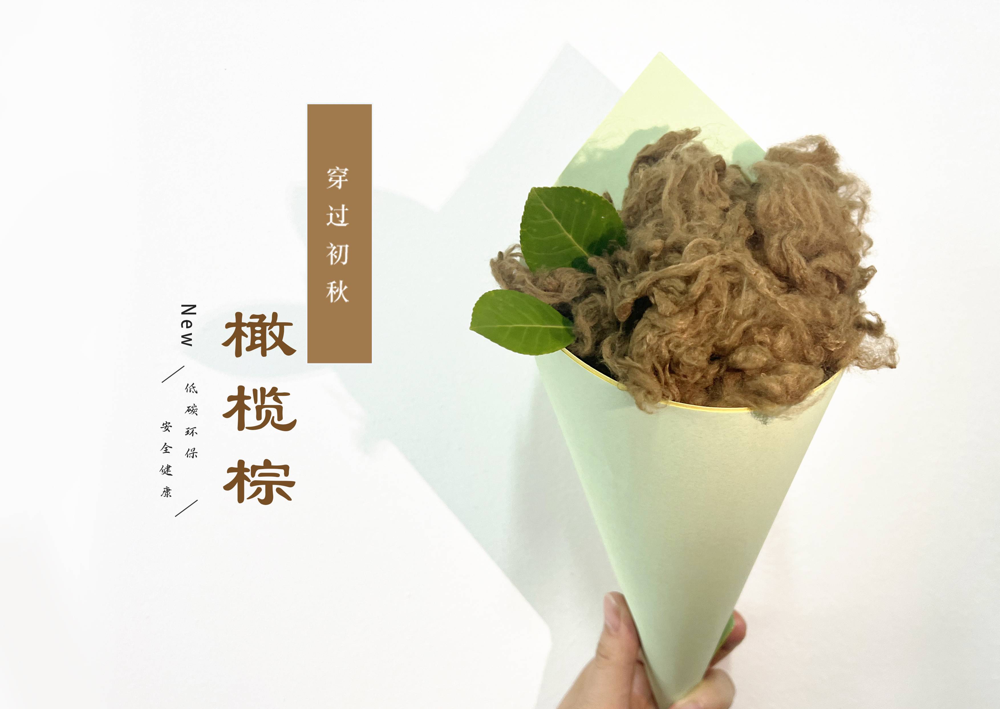 DS视讯·(中国)官方网站