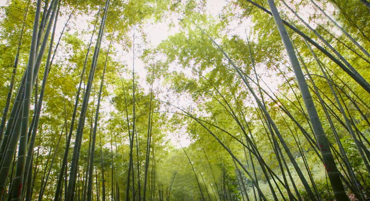 DS视讯·(中国)官方网站